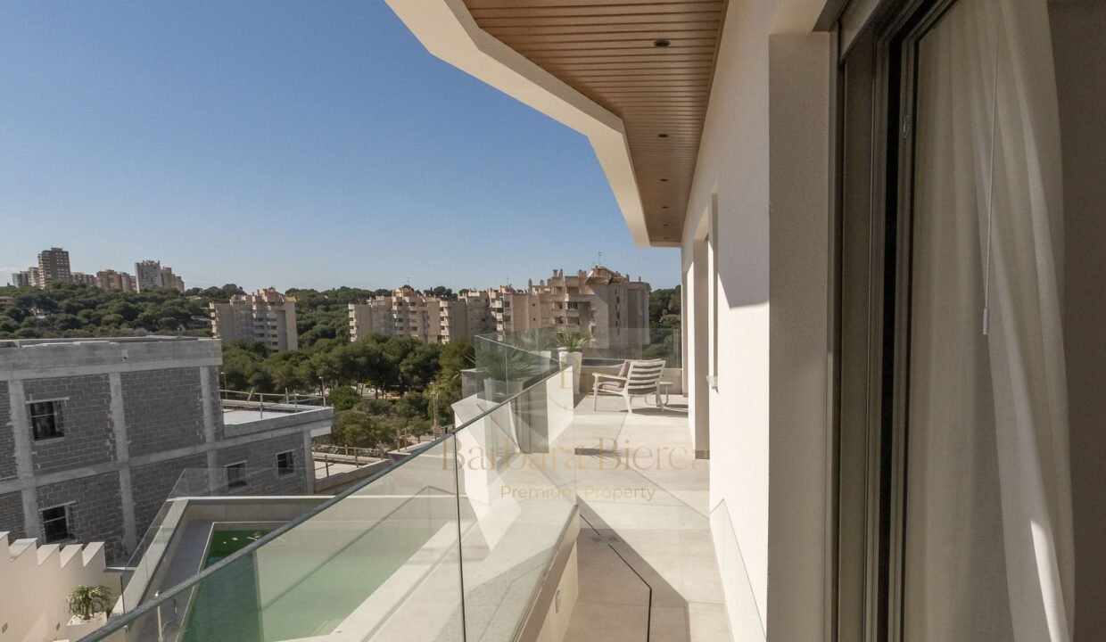 113_C JUAN MARSE 39 CAMPOAMOR