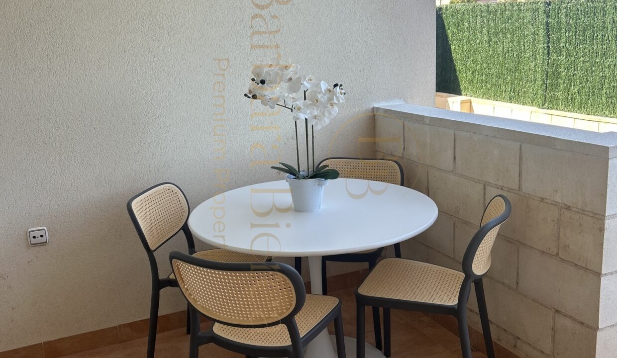 Terraza 1