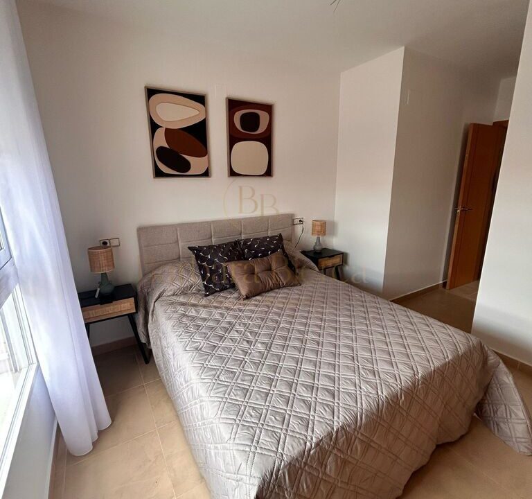 show house (10)