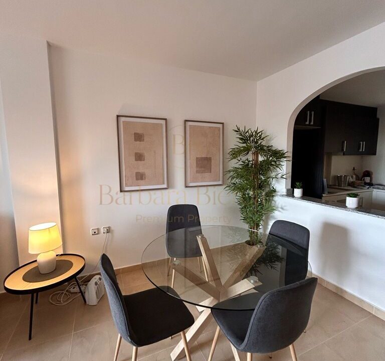 show house (4)