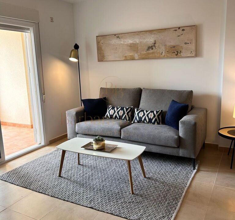show house (7)